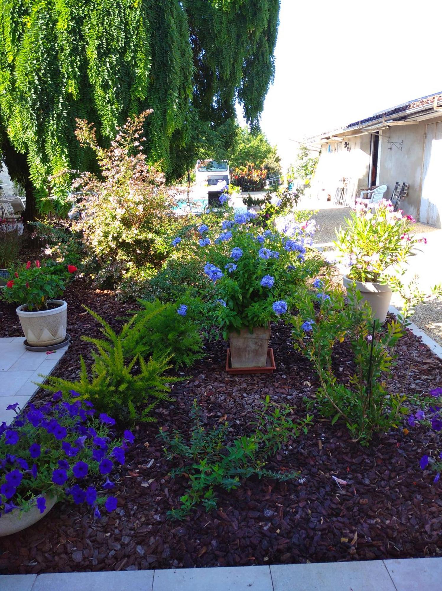 Bed and Breakfast L'Acacia Bergerac Exterior foto
